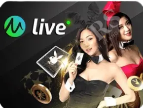AnyConv.com__show-live-casino-4